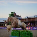 Крупнейший в России конный фестиваль «Иваново поле» прошёл в Подмосковье 